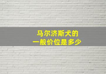 马尔济斯犬的一般价位是多少