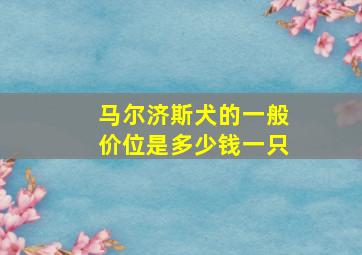 马尔济斯犬的一般价位是多少钱一只