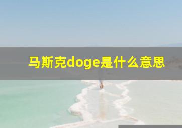 马斯克doge是什么意思