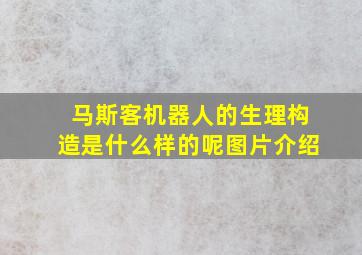 马斯客机器人的生理构造是什么样的呢图片介绍