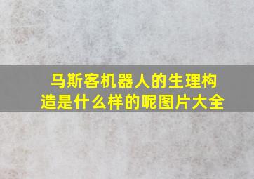 马斯客机器人的生理构造是什么样的呢图片大全