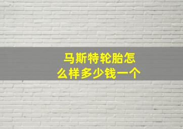 马斯特轮胎怎么样多少钱一个