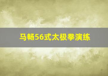 马畅56式太极拳演练