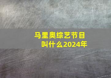 马里奥综艺节目叫什么2024年