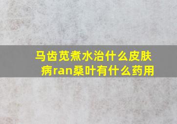 马齿苋煮水治什么皮肤病ran桑叶有什么药用