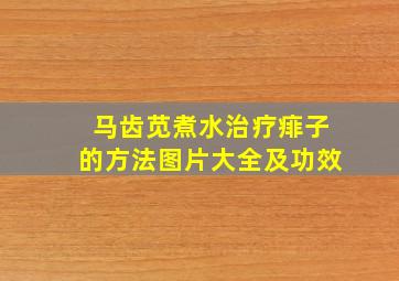 马齿苋煮水治疗痱子的方法图片大全及功效