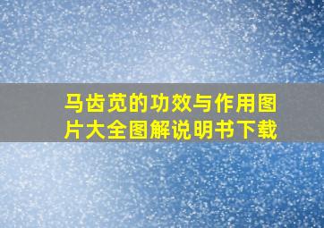 马齿苋的功效与作用图片大全图解说明书下载