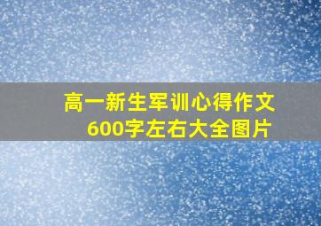 高一新生军训心得作文600字左右大全图片