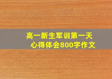 高一新生军训第一天心得体会800字作文