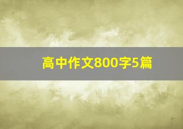 高中作文800字5篇