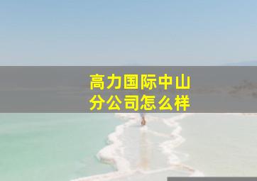 高力国际中山分公司怎么样