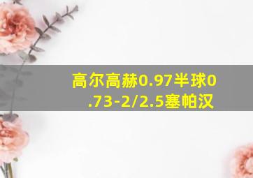 高尔高赫0.97半球0.73-2/2.5塞帕汉