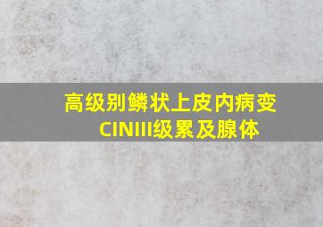 高级别鳞状上皮内病变CINIII级累及腺体