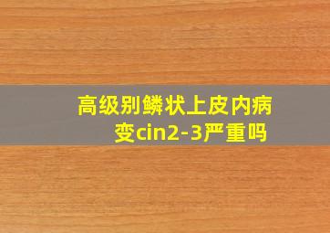 高级别鳞状上皮内病变cin2-3严重吗