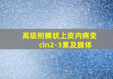 高级别鳞状上皮内病变cin2-3累及腺体