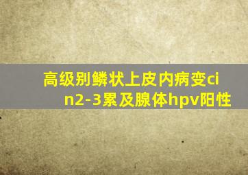 高级别鳞状上皮内病变cin2-3累及腺体hpv阳性