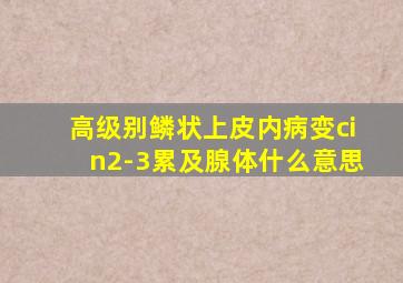 高级别鳞状上皮内病变cin2-3累及腺体什么意思