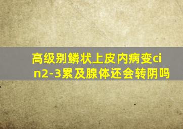 高级别鳞状上皮内病变cin2-3累及腺体还会转阴吗