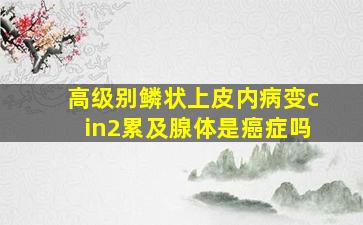 高级别鳞状上皮内病变cin2累及腺体是癌症吗