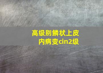 高级别鳞状上皮内病变cin2级