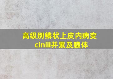 高级别鳞状上皮内病变ciniii并累及腺体