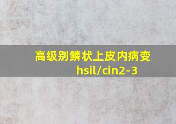 高级别鳞状上皮内病变hsil/cin2-3