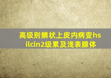 高级别鳞状上皮内病变hsilcin2级累及浅表腺体