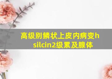 高级别鳞状上皮内病变hsilcin2级累及腺体