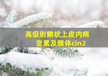 高级别鳞状上皮内病变累及腺体cin2