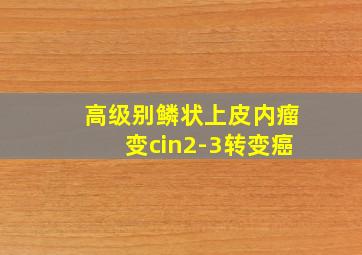 高级别鳞状上皮内瘤变cin2-3转变癌