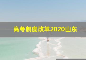 高考制度改革2020山东