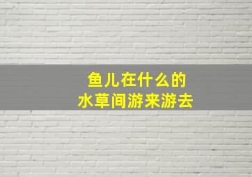 鱼儿在什么的水草间游来游去