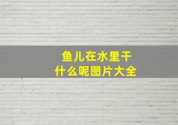 鱼儿在水里干什么呢图片大全