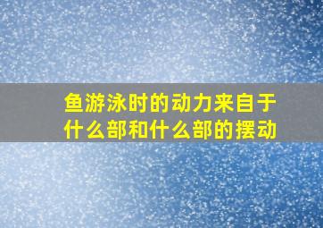 鱼游泳时的动力来自于什么部和什么部的摆动