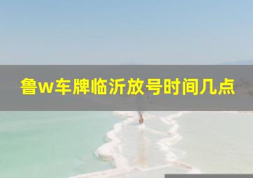 鲁w车牌临沂放号时间几点