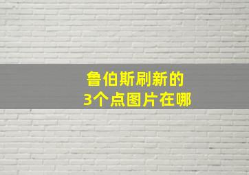 鲁伯斯刷新的3个点图片在哪