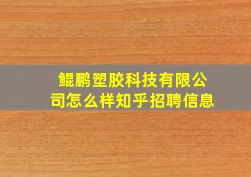 鲲鹏塑胶科技有限公司怎么样知乎招聘信息