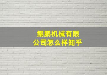 鲲鹏机械有限公司怎么样知乎