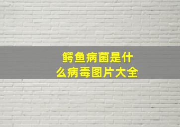 鳄鱼病菌是什么病毒图片大全