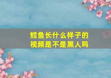 鳕鱼长什么样子的视频是不是黑人吗