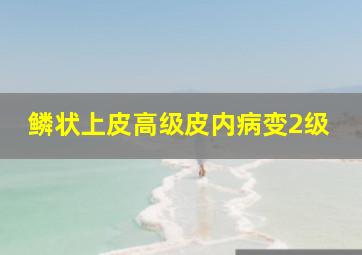 鳞状上皮高级皮内病变2级