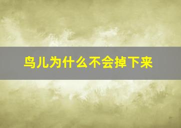 鸟儿为什么不会掉下来