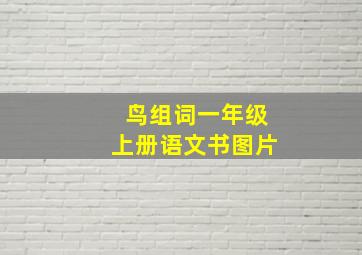 鸟组词一年级上册语文书图片