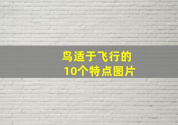 鸟适于飞行的10个特点图片