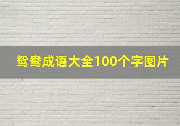 鸳鸯成语大全100个字图片