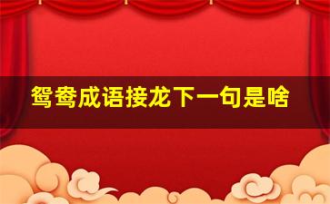 鸳鸯成语接龙下一句是啥