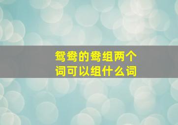 鸳鸯的鸯组两个词可以组什么词