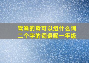 鸳鸯的鸳可以组什么词二个字的词语呢一年级