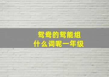 鸳鸯的鸳能组什么词呢一年级