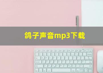 鸽子声音mp3下载